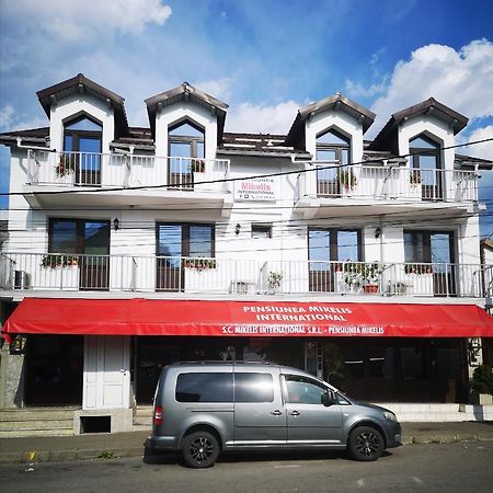 Pensiunea Mikelis International Hotel Curtea de Argeş Exterior foto