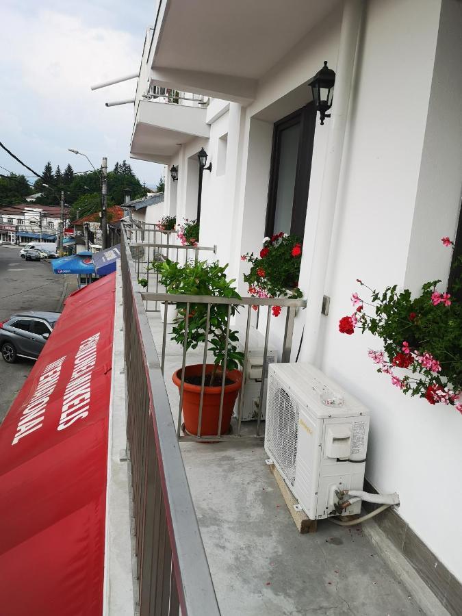 Pensiunea Mikelis International Hotel Curtea de Argeş Exterior foto
