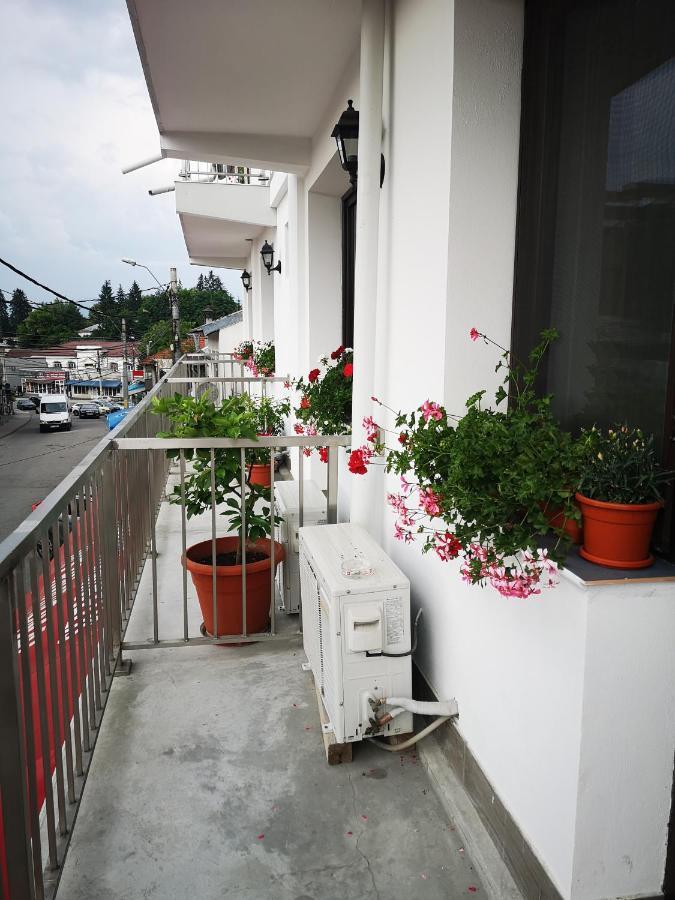 Pensiunea Mikelis International Hotel Curtea de Argeş Exterior foto